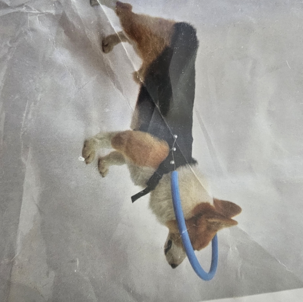 Protection color for a blind pup
